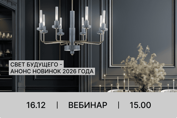 Приглашаем на вебинар с Ambrella Light 16.12.2025