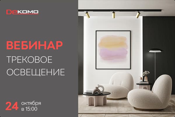 Приглашаем на вебинар Denkirs 24.10.2024